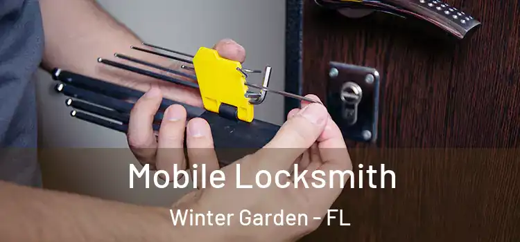Mobile Locksmith Winter Garden - FL